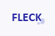 Servicio Tecnico Fleck en Madrid